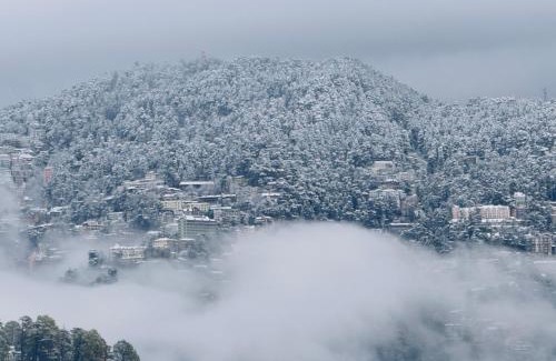 Shimla Hotel | Staynest Mashobra with balcony- A peacefull stay