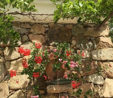 Trinita d'Agultu House | Stazzo Isola Rossa di Gallura