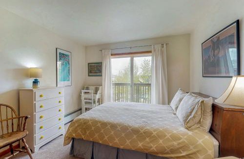 Steamboat Springs Apartment | Steamboat Springs 1308