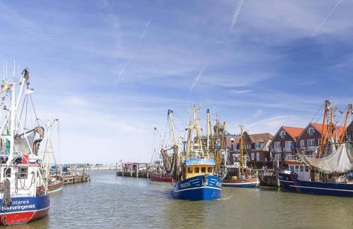 Stedesdorf Apartment | Stedesdorf, Ferienwohnung 'Nordsee-Wattwurm'