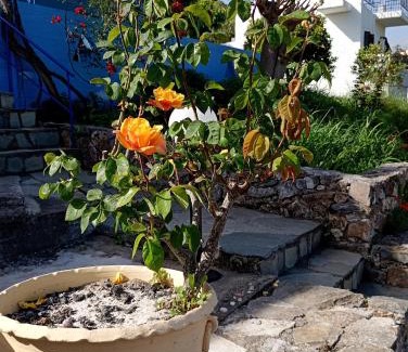 Armenoi Apartment | Stefanos Garden