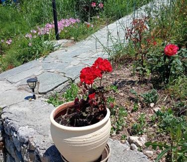 Armenoi Apartment | Stefanos Garden