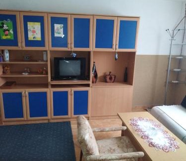 Central Serbia House | Stefke