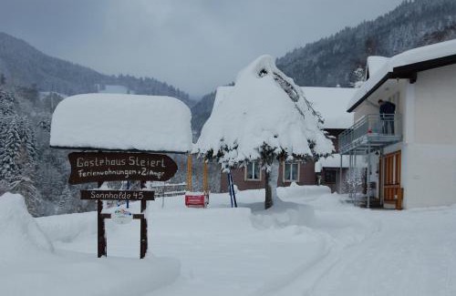 Aftersteg Apartment | Steiert Panorama Apartments Todtnau