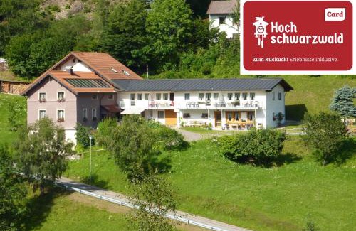 Aftersteg Apartment | Steiert Panorama Apartments Todtnau