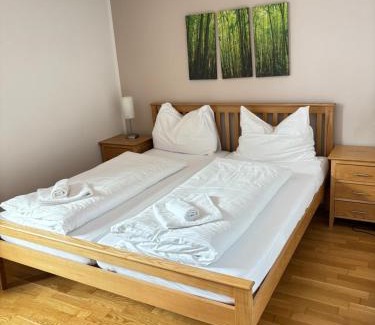 Obertauern Apartment | Steinadler Schaidberg FL - Skiing Holiday in Obertauern