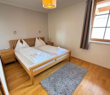 Obertauern Apartment | Steinadler Seekarspitz FL - Skiing Holiday in Obertauern
