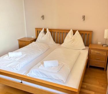 Obertauern Apartment | Steinadler Seekarspitz FL - Skiing Holiday in Obertauern