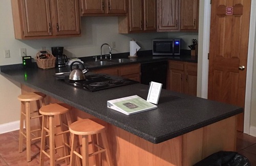 Steinhatchee Cottage | Steinhatchee Landing-Jasmine B -Creekside- Dog Friendly - Third Night Free