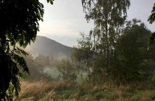 Haslachsimonswald Bed & Breakfast | Steinweiden