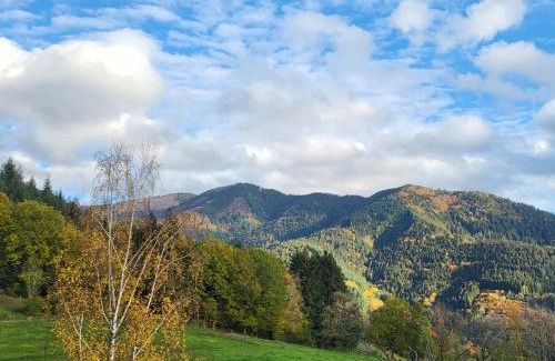 Haslachsimonswald Bed & Breakfast | Steinweiden