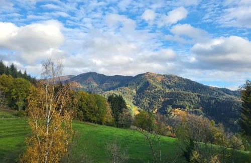Haslachsimonswald Bed & Breakfast | Steinweiden