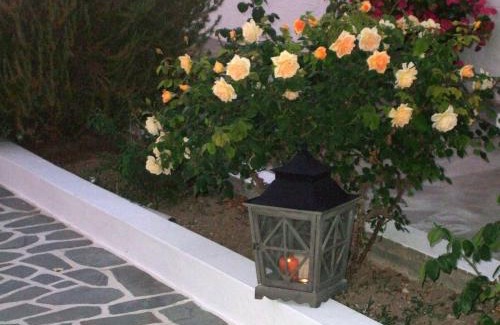 Paros Hotel | Stella Hotel
