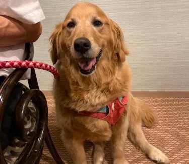 Shimotaga Hotel | StellaMarina~海の星 ATAMI