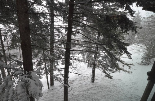 Snowshoe Condo | Stemwinder #2: 4 Bedrooms, 3 Full Baths: Slope Side, Heated Outdoor Hot Tub.