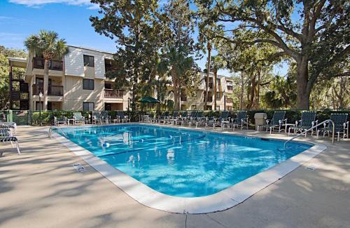 North Forest Beach Apartment | Steps to Beach, Coligny Plaza Hilton Head Condo!