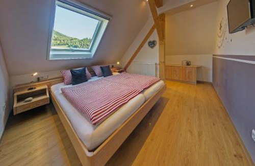 Haslachsimonswald Apartment | Sternenblick Trenklehof Schwarzwald