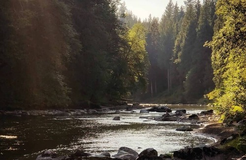 Lime Kiln Cabin | Steven's River Cabin - hot tub-beach-fireplace