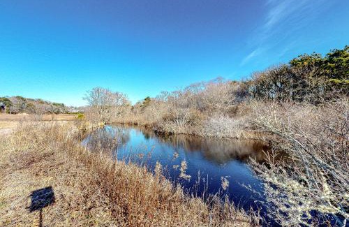 West Chatham House | Stevie, the Cape Farmhouse