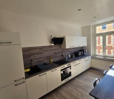 Plauen Apartment | Stilvolle Ferienwohnung am Stadtwald von Plauen