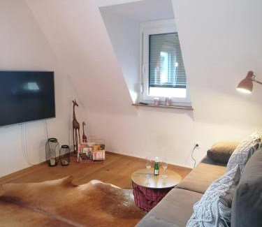 Wuerzburg Apartment | stilvolle Wohnung direkt in der City