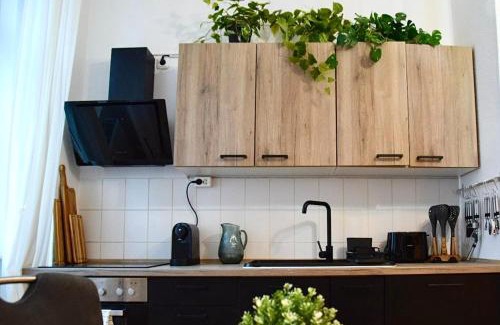 Schleußig Apartment | stilvoller Altbau im ruhigen Schleußig mit WLAN, Netflix, Waschmaschine