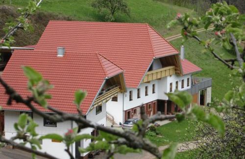 Oberharmersbach Apartment | Stinneshof