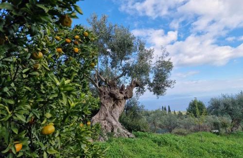Messini House | Stone Farmhouse in Groves - Sea & Mountain Views
