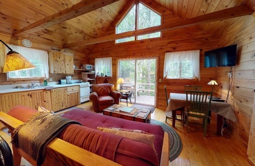 Greenville Cabin | Stony Cove Camp (Waterfront on Lower Wilson Pond!)