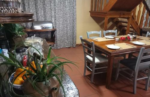 Storms River House | Storms River Forest Lodge