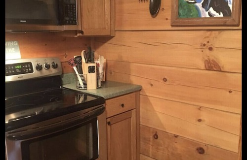 Beech Mountain Cabin | Storybook Beech Mountain Creekside Cabin 1 minute from skiing, fishing, hiking!