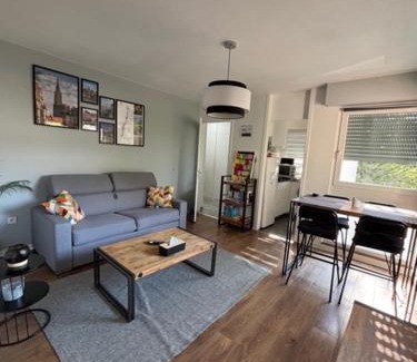 Cronenbourg Est Apartment | Strasbourg, JULES VERNE