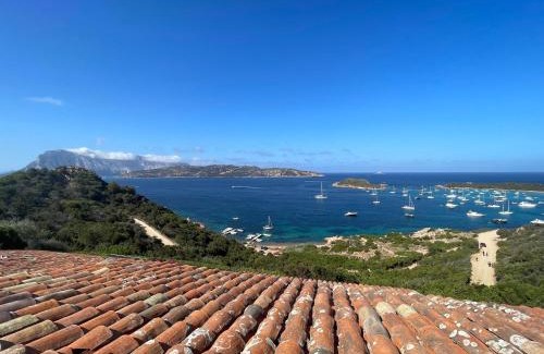 Capo Coda Cavallo Apartment | Strepitoso 4 Camere da letto e Terrazza Vista Mare