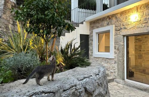 Strp House | Strp House