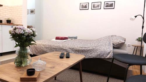 Vrsac Apartment | Studi-apartman Kestenov stan