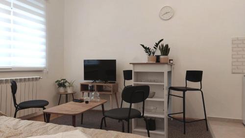 Vrsac Apartment | Studi-apartman Kestenov stan