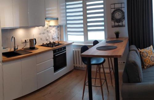 Alytus Apartment | Studija Alytuje