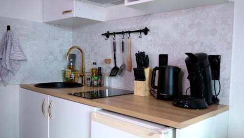 Chasseneuil-du-Poitou Apartment | Studio à 8 min à pied du Futuroscope – 1/4 pers