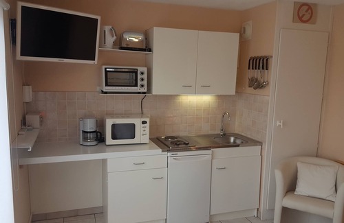 Obernai Apartment | STUDIO 01 Holiday rental in Obernai in Alsace panoramic mountain view