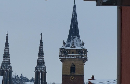 Obernai Apartment | STUDIO 01 Holiday rental in Obernai in Alsace panoramic mountain view