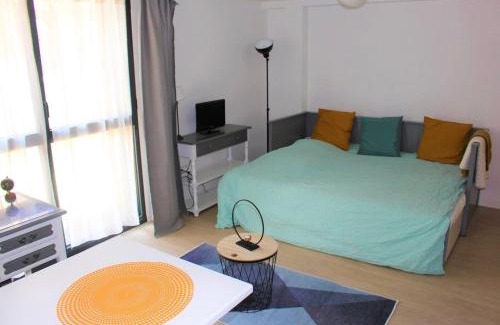 Anatole France Danton Apartment | Studio 18