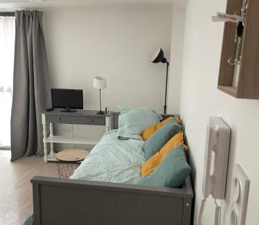 Anatole France Danton Apartment | Studio 18