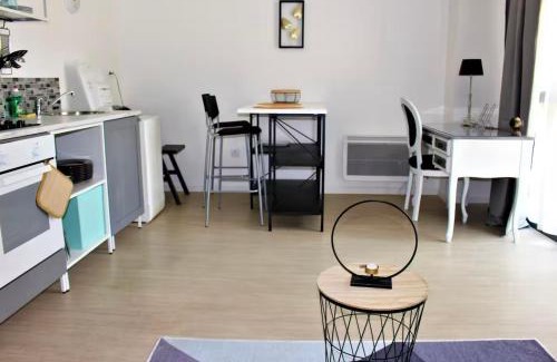 Anatole France Danton Apartment | Studio 18