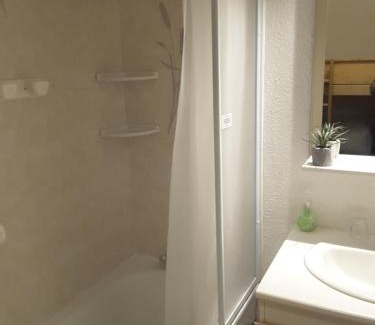 Besse-et-Saint-Anastaise Apartment | Studio 24 m2 - 4 personnes