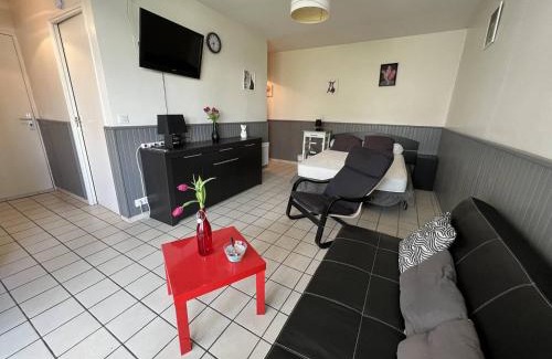 Cambo-les-Bains Apartment | Studio 2 personnes, terrasse fermée, animaux tolérés, proche parking – Cambo-les-Bains - FR-1-495-63