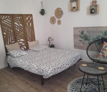Lemasson Apartment | Studio 23 m2, proche centre, calme, WIFI, pk