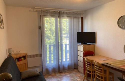 Montclar Apartment | STUDIO 4 COUCHAGES A St JEAN-MONTCLAR ÉTÉ/HIVER