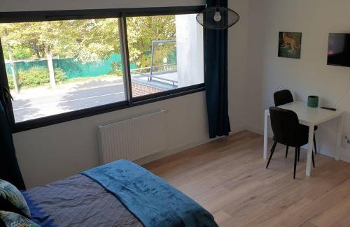 Plein Sud Apartment | studio 4 Henriville