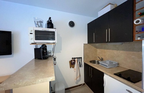 Allos Apartment | Studio 4 people down the slopes- La Foux d'Allos