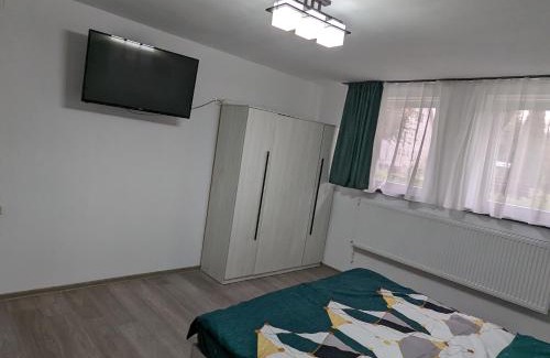 Zarnesti Apartment | Studio Ali with parking